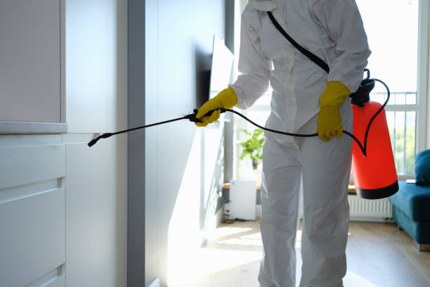 Prineville, OR Mold Remediation Company